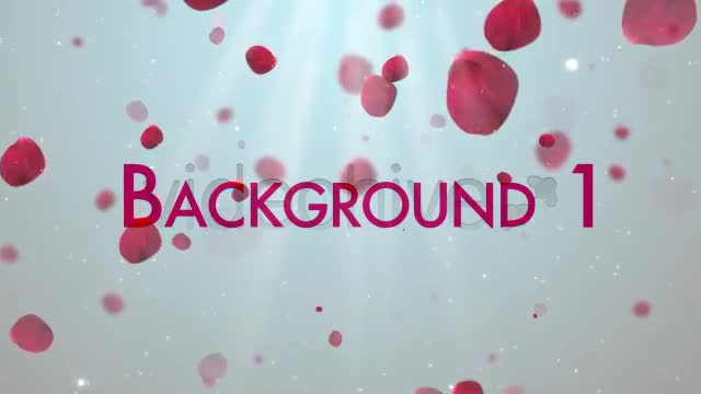 Clean Rose Petals Videohive 3843384 Motion Graphics Image 1