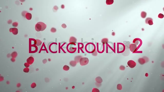 Clean Rose Petals Videohive 3843384 Motion Graphics Image 5