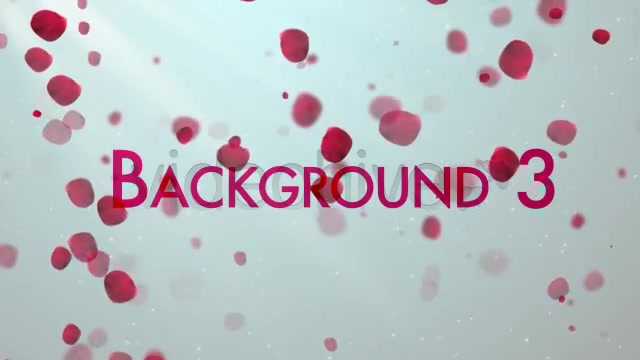 Clean Rose Petals Videohive 3843384 Motion Graphics Image 6