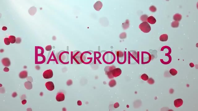 Clean Rose Petals Videohive 3843384 Motion Graphics Image 8