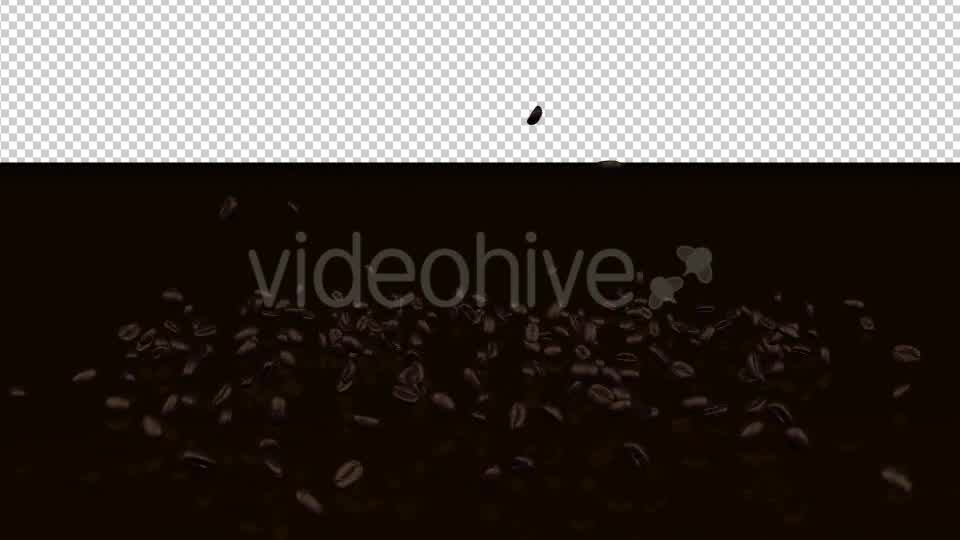 Coffee Beans Videohive 20239450 Motion Graphics Image 10