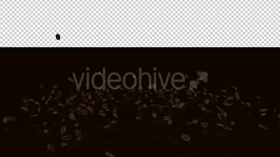 Coffee Beans Videohive 20239450 Motion Graphics Image 12