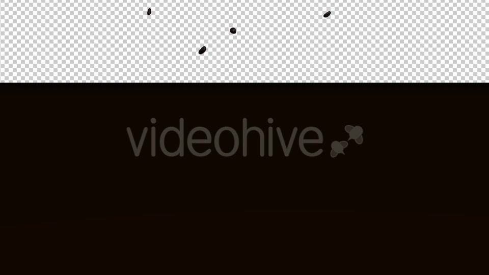 Coffee Beans Videohive 20239450 Motion Graphics Image 3