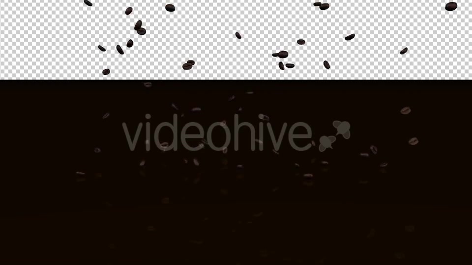 Coffee Beans Videohive 20239450 Motion Graphics Image 6