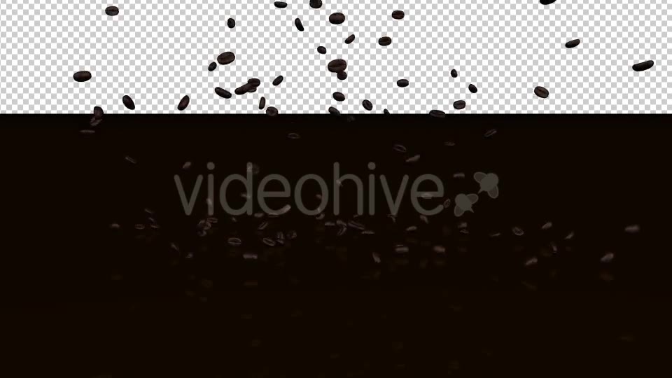 Coffee Beans Videohive 20239450 Motion Graphics Image 7