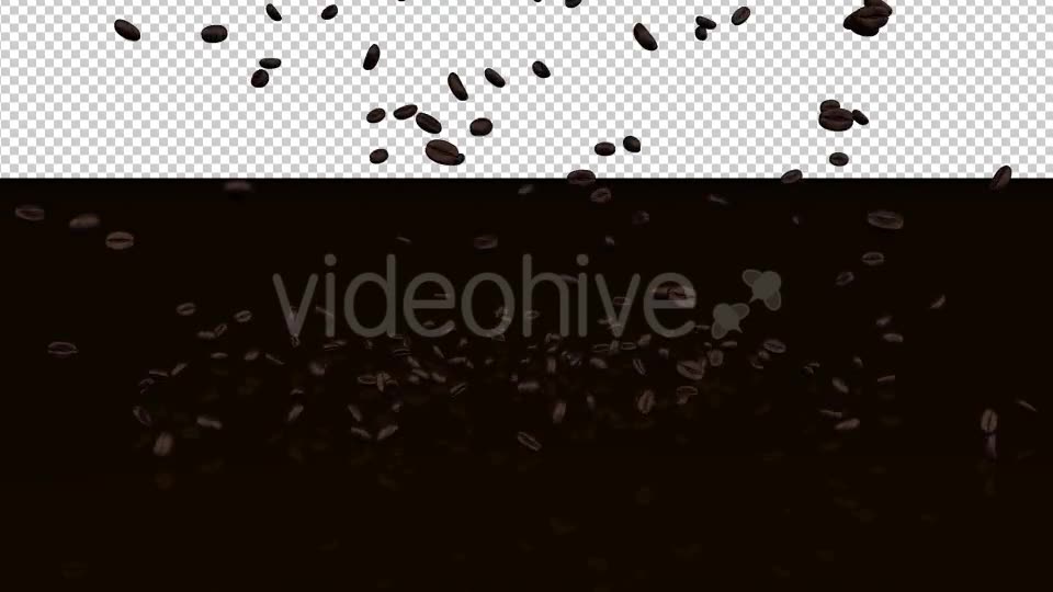 Coffee Beans Videohive 20239450 Motion Graphics Image 8