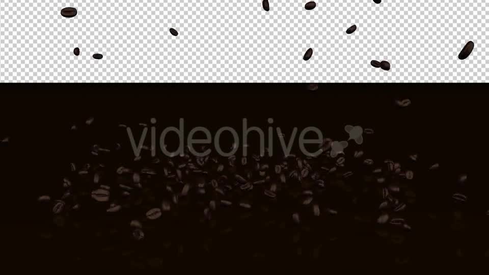 Coffee Beans Videohive 20239450 Motion Graphics Image 9