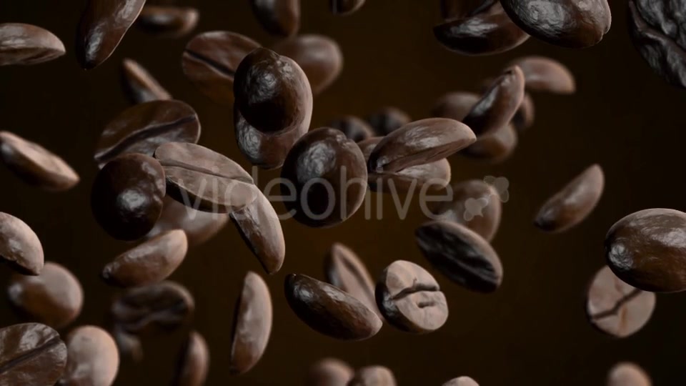 Coffee Videohive 20908689 Motion Graphics Image 10