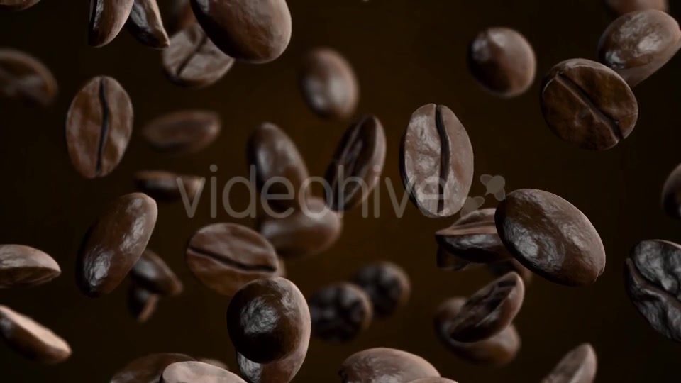 Coffee Videohive 20908689 Motion Graphics Image 12