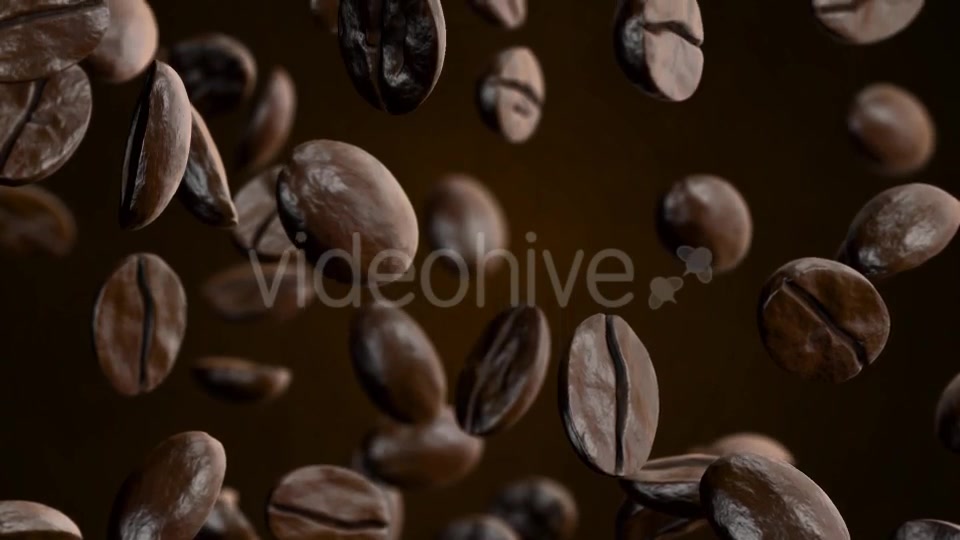 Coffee Videohive 20908689 Motion Graphics Image 13