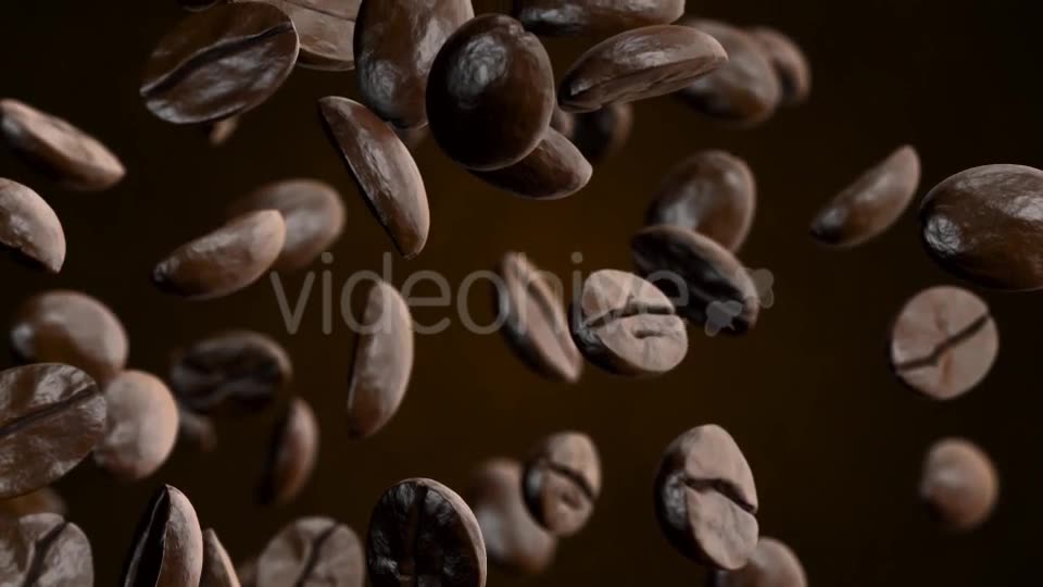 Coffee Videohive 20908689 Motion Graphics Image 2