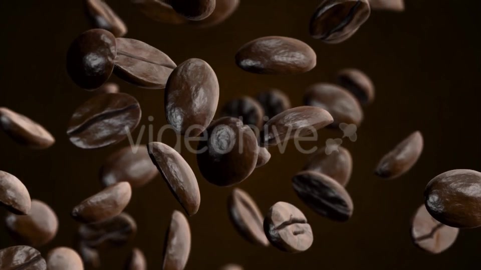 Coffee Videohive 20908689 Motion Graphics Image 3