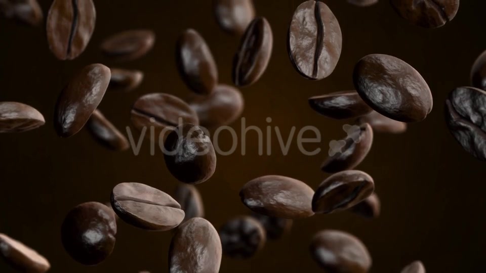 Coffee Videohive 20908689 Motion Graphics Image 5