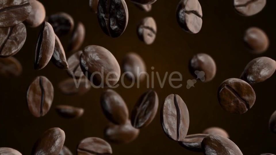 Coffee Videohive 20908689 Motion Graphics Image 7