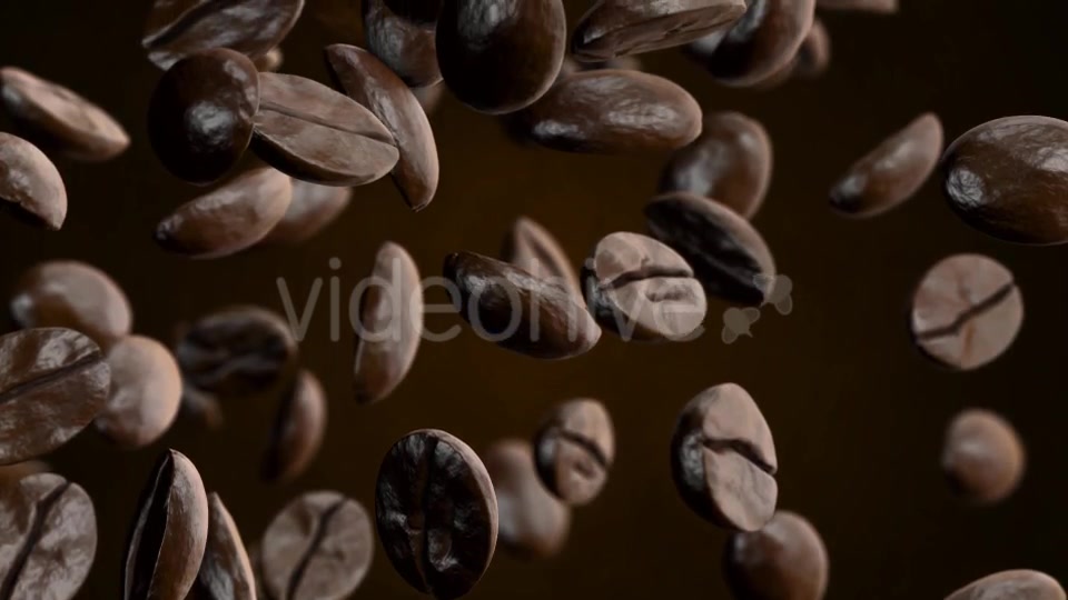 Coffee Videohive 20908689 Motion Graphics Image 9