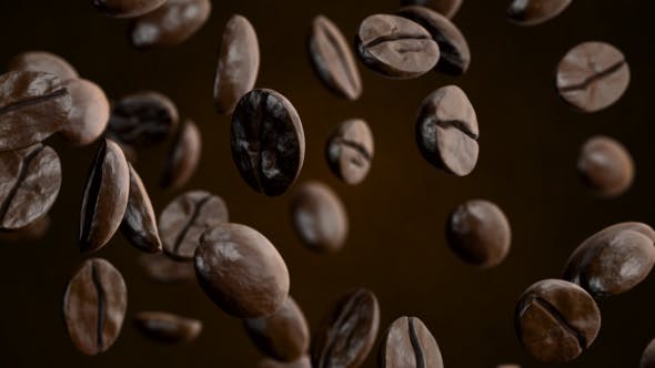 Coffee - Videohive 20908689 Download