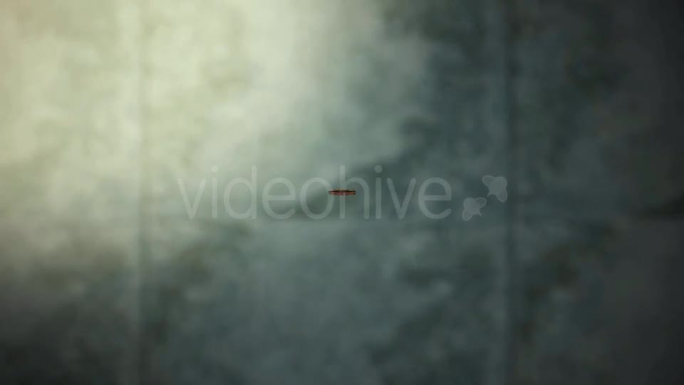 Coin Toss & Fall Videohive 11923067 Motion Graphics Image 1