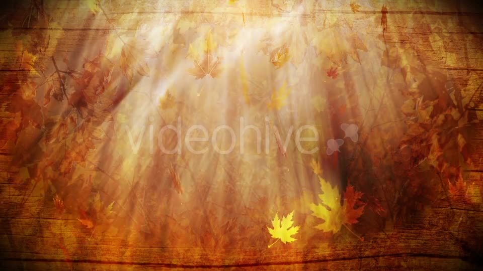 Colorful Autumn Foliage Background Videohive 12942687 Motion Graphics Image 1