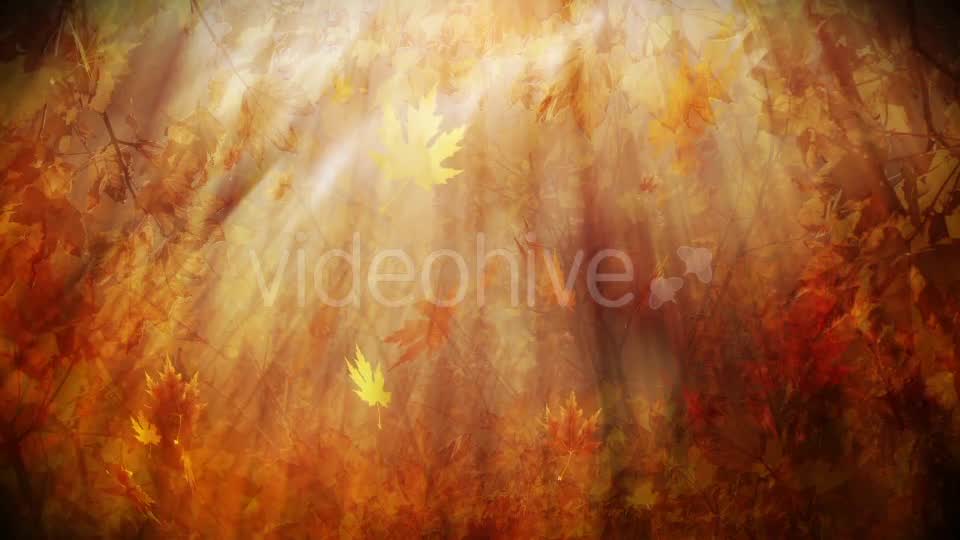 Colorful Autumn Foliage Background Videohive 12942687 Motion Graphics Image 10