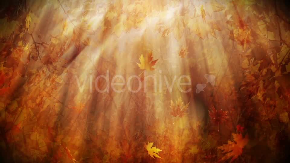 Colorful Autumn Foliage Background Videohive 12942687 Motion Graphics Image 11