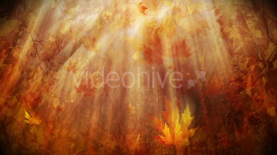 Colorful Autumn Foliage Background Videohive 12942687 Motion Graphics Image 12