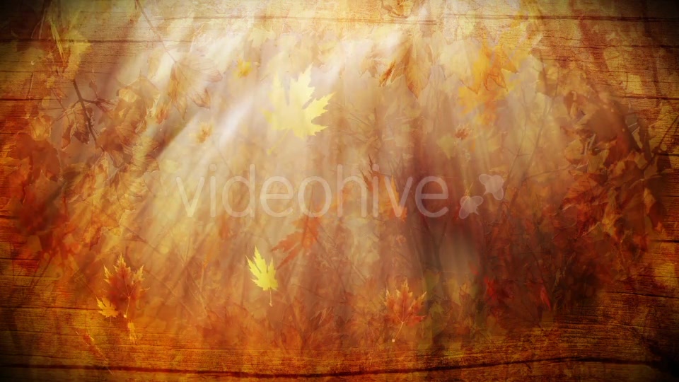 Colorful Autumn Foliage Background Videohive 12942687 Motion Graphics Image 4