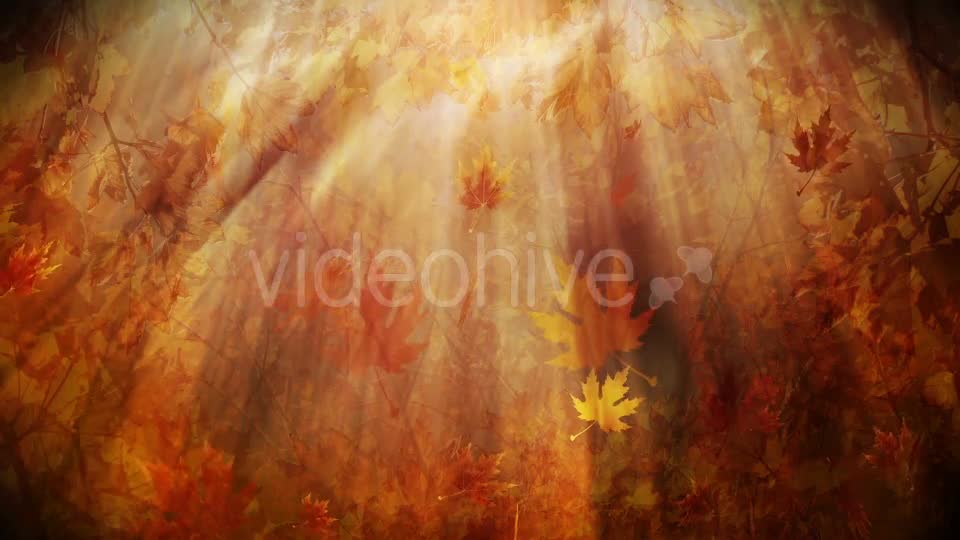 Colorful Autumn Foliage Background Videohive 12942687 Motion Graphics Image 8