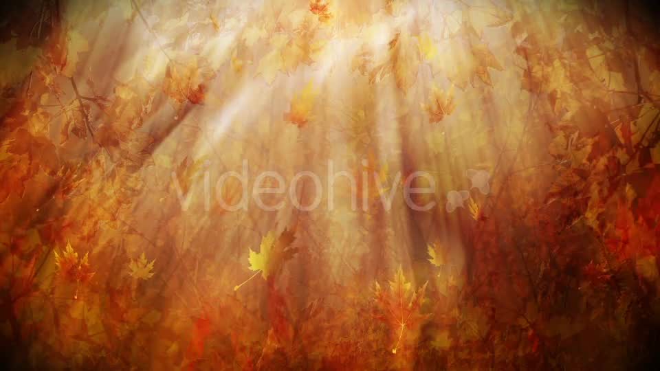 Colorful Autumn Foliage Background Videohive 12942687 Motion Graphics Image 9