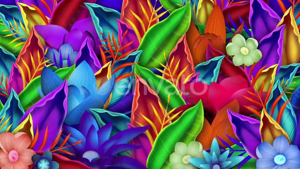 Colorful Flourish Videohive 23028750 Motion Graphics Image 1