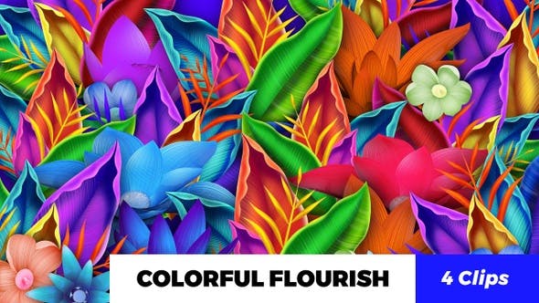 Colorful Flourish - Download 23028750 Videohive