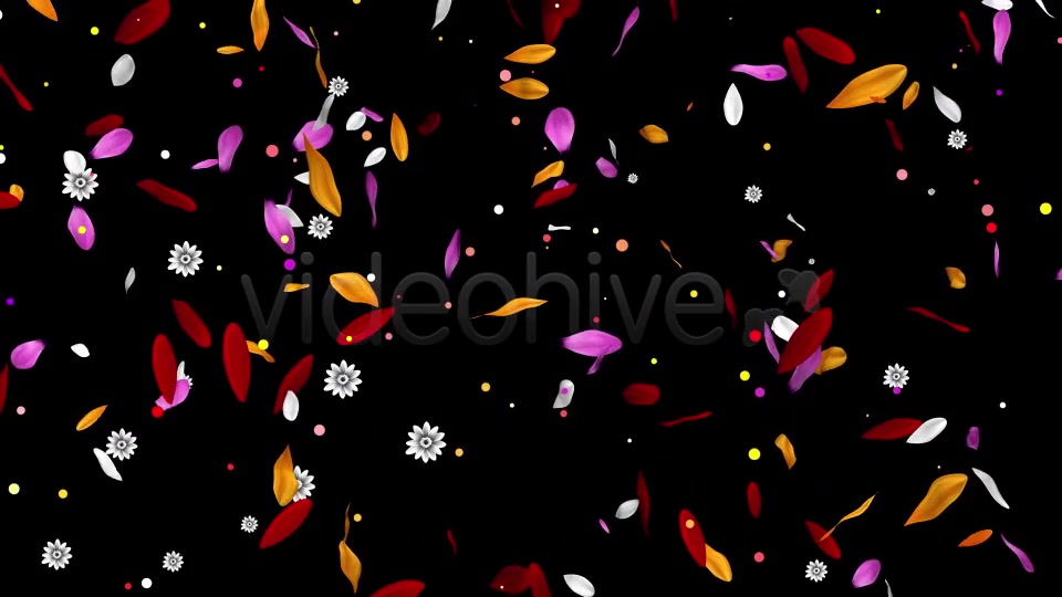 Colorful Flowers Pack Videohive 16323663 Motion Graphics Image 10