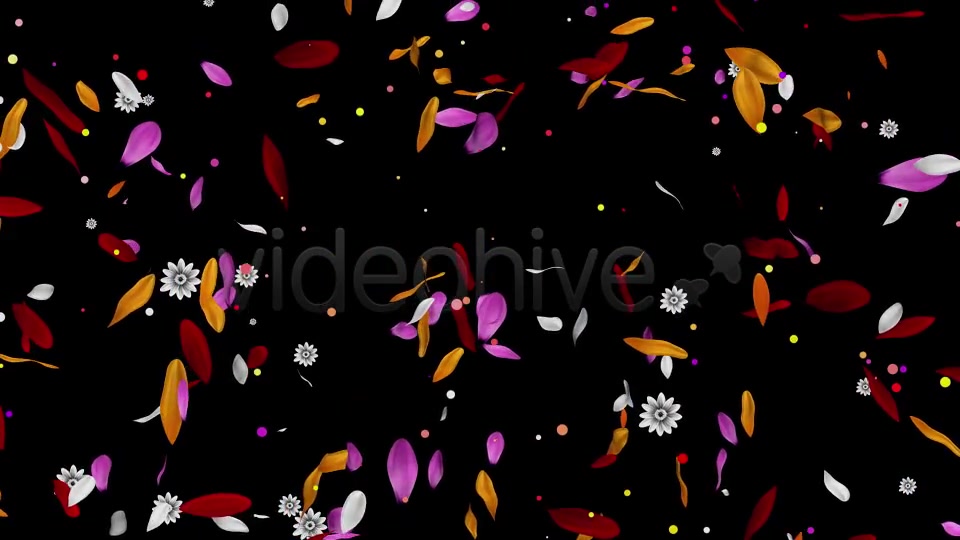 Colorful Flowers Pack Videohive 16323663 Motion Graphics Image 11
