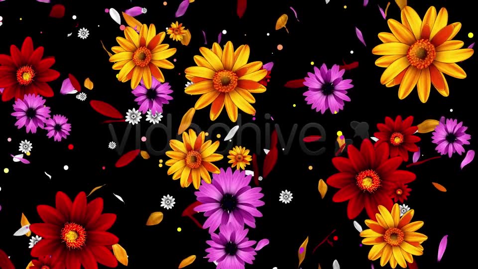 Colorful Flowers Pack Videohive 16323663 Motion Graphics Image 2