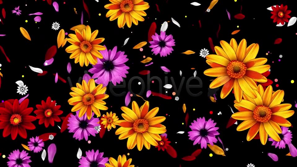 Colorful Flowers Pack Videohive 16323663 Motion Graphics Image 3