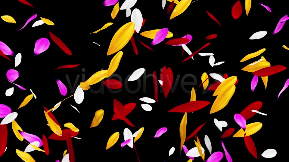 Colorful Flowers Pack Videohive 16323663 Motion Graphics Image 4
