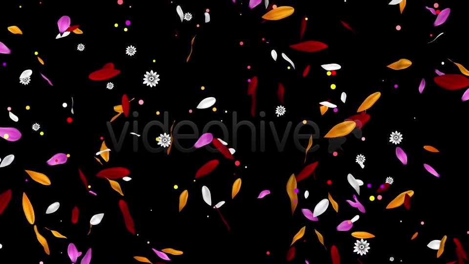 Colorful Flowers Pack Videohive 16323663 Motion Graphics Image 9