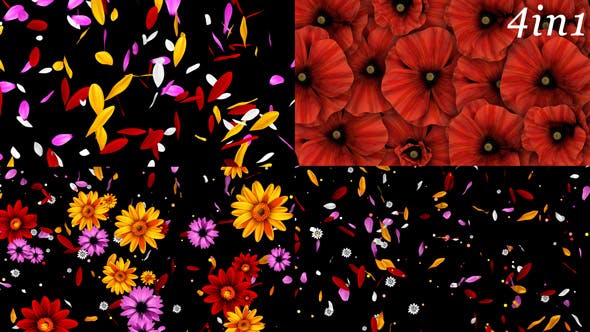 Colorful Flowers Pack - Videohive Download 16323663