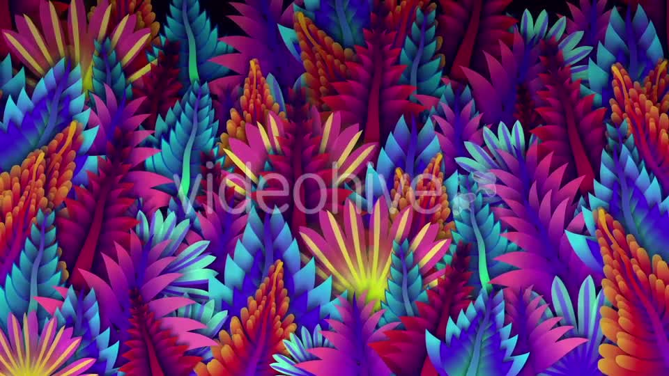 Colorful Leaf Kaleido Videohive 20648460 Motion Graphics Image 1