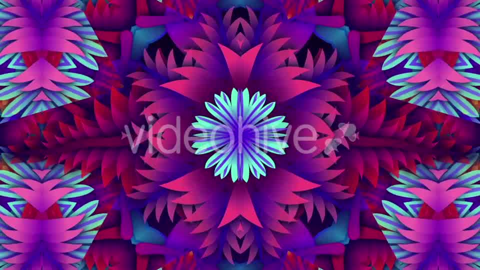Colorful Leaf Kaleido Videohive 20648460 Motion Graphics Image 11