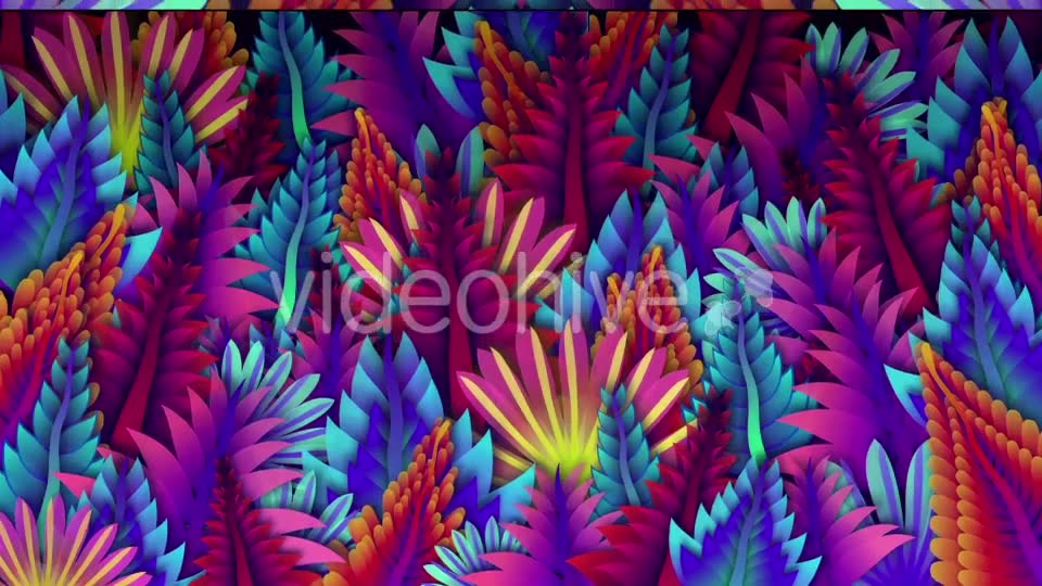 Colorful Leaf Kaleido Videohive 20648460 Motion Graphics Image 2