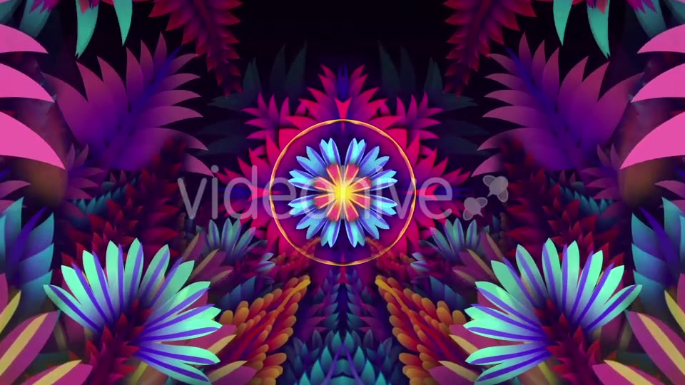 Colorful Leaf Kaleido Videohive 20648460 Motion Graphics Image 3