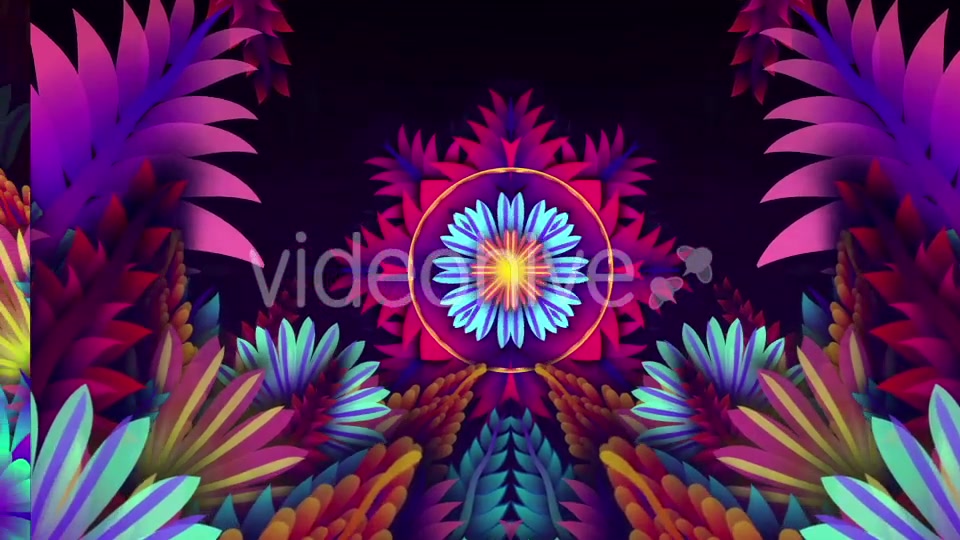 Colorful Leaf Kaleido Videohive 20648460 Motion Graphics Image 4