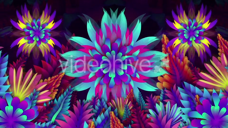 Colorful Leaf Kaleido Videohive 20648460 Motion Graphics Image 5