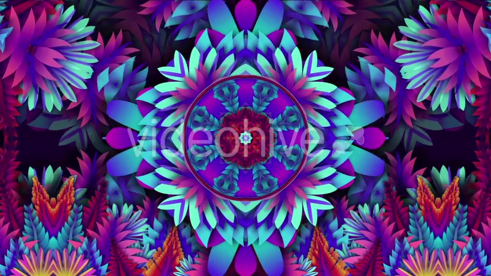 Colorful Leaf Kaleido Videohive 20648460 Motion Graphics Image 7