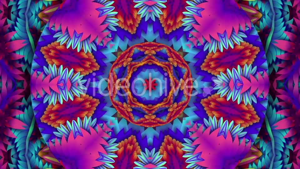 Colorful Leaf Kaleido Videohive 20648460 Motion Graphics Image 9
