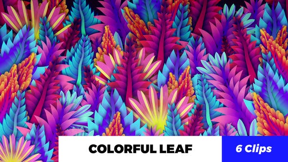 Colorful Leaf Kaleido - Download Videohive 20648460