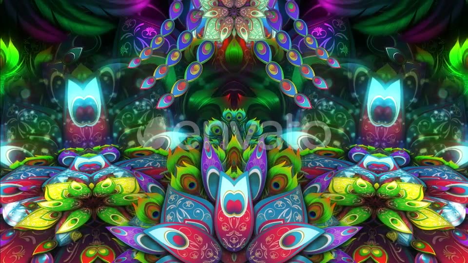 Colorful Peacock Videohive 22324832 Motion Graphics Image 6