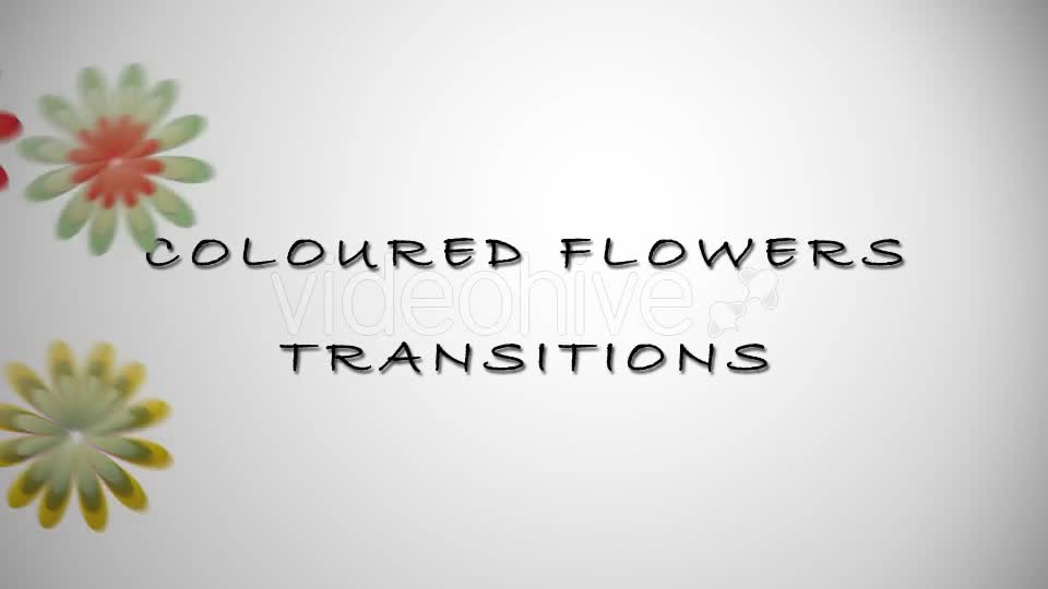 Coloured Flowers Transitions Videohive 15305276 Motion Graphics Image 1