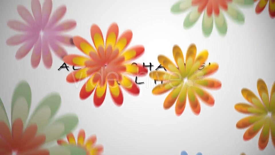 Coloured Flowers Transitions Videohive 15305276 Motion Graphics Image 4