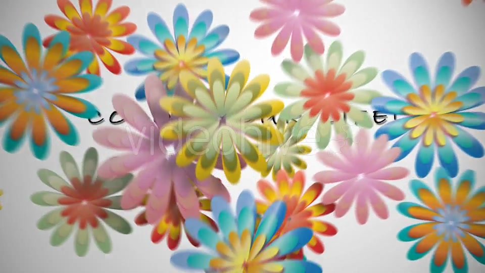 Coloured Flowers Transitions Videohive 15305276 Motion Graphics Image 6
